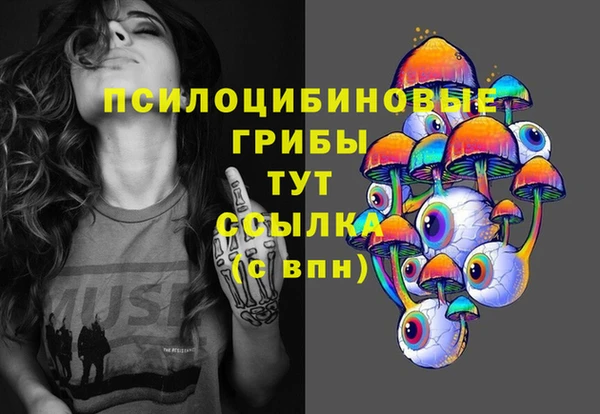 PSILOCYBIN Гусев