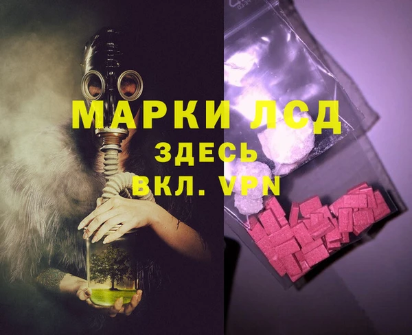 PSILOCYBIN Гусев